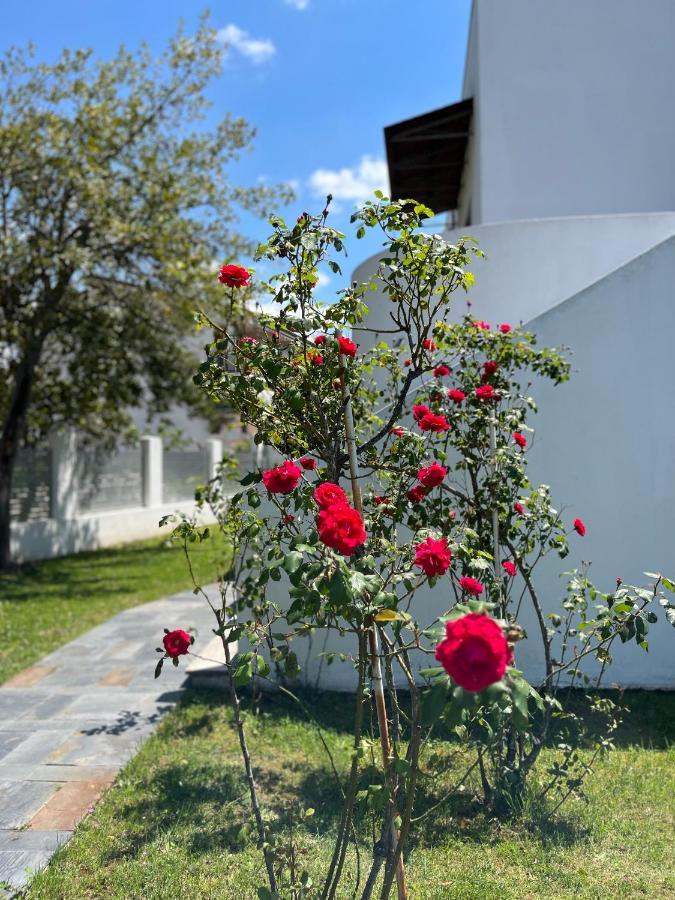 Residenza Margot Bed and Breakfast Quattromiglio Buitenkant foto